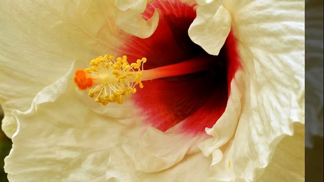 xkter옥천출장안마 ∇ (010↔4636↔7917) 논산출장안마,조치원출장안마,청주출장안마,계룡출장안마