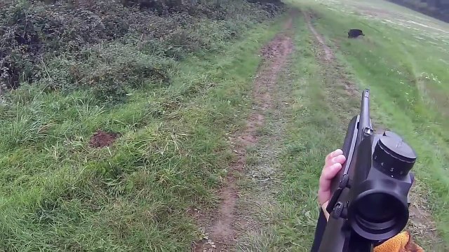 Chasse au sanglier 23-01-2016 - Battue au sanglier 2016 - Doublé de sanglier - belle compagnie