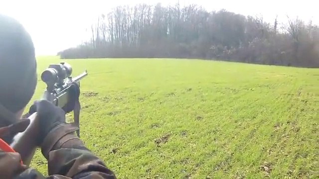 Chasse aux sangliers en battue