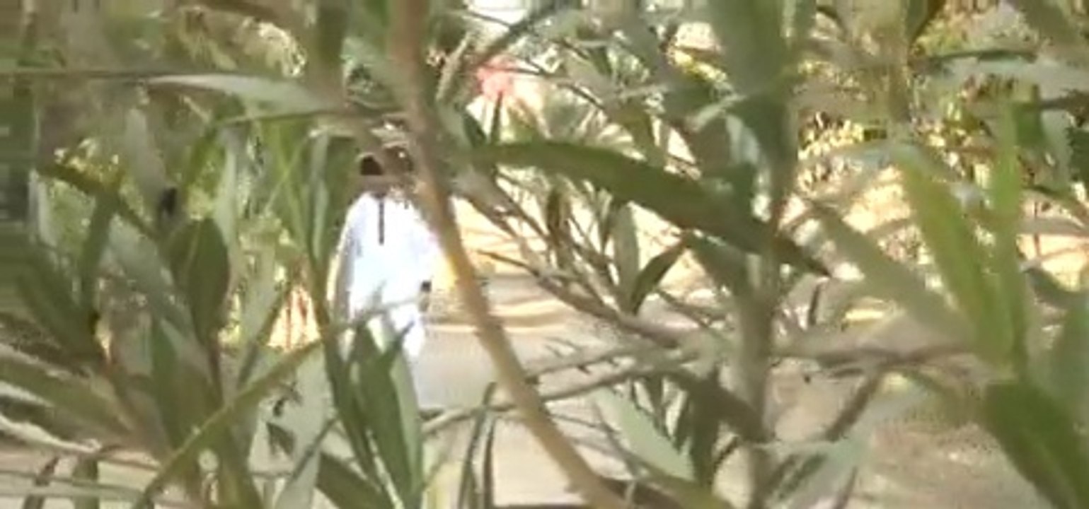 yari sady naal By Sajid Nawaz Saju New Saraki Song 2016