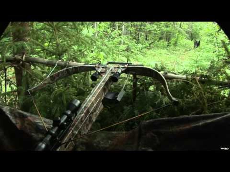 BC Outdoors Sport Fishing - Canyon Sturgeon