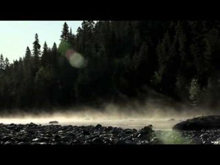 Nock On - The Grey Ghost