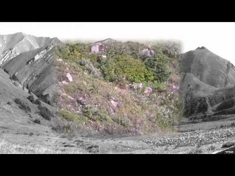 The Hunting Chronicles - Alberta Mountain Sheep