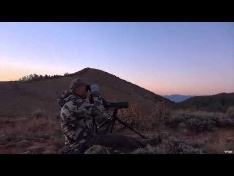 Long Range Pursuit - Long Range Pursuit