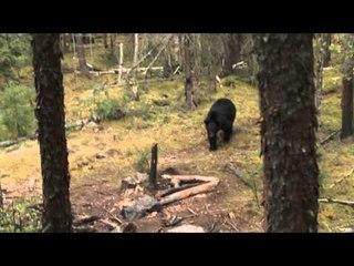 Fear No Evil - Saskatchewan Giants Part 2