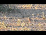 Mathews TV with Dave Watson - West Texas