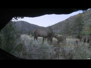 Easton Bowhunting TV - The Ultimate Hunt
