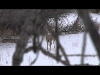 Outdoor Quest TV - Soldier On Hunt