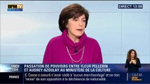 Fleur Pellerin a accumulé les bourdes