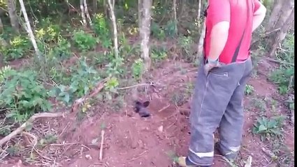 Giravano nel bosco e all'improvviso fanno una scoperta sconvolgente!