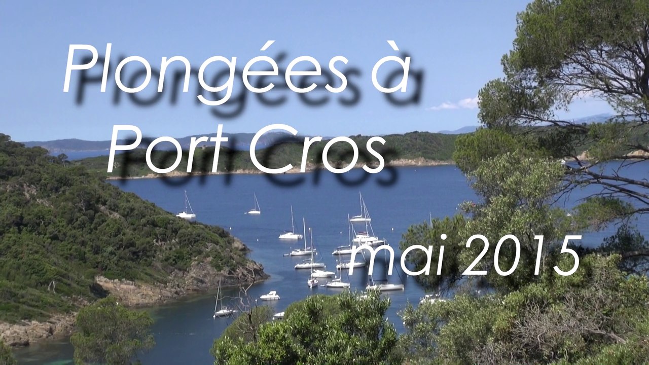 Plongée Bio Port Cros mai 2015
