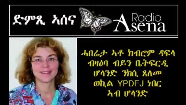 professor Mirjam van Reisen has won a lawsuit that was filed against it by the Eritrean Meseret Bahlbi.