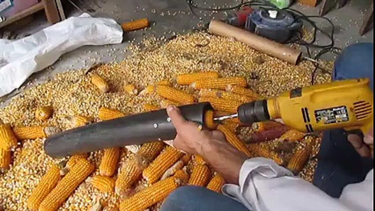 Mısır Tanelerini Ayıklamada Son Nokta!