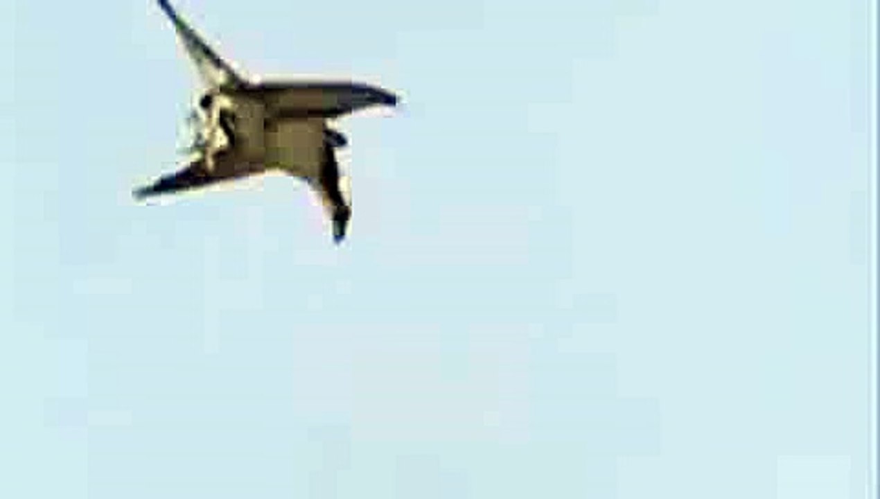 Yaradana kurban hangi teknoloji bunu böyle avlayabilir