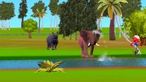 Elephant Vs Rhino Cartoons Singing Finger Family Nursery Rhymes For Children And Kids