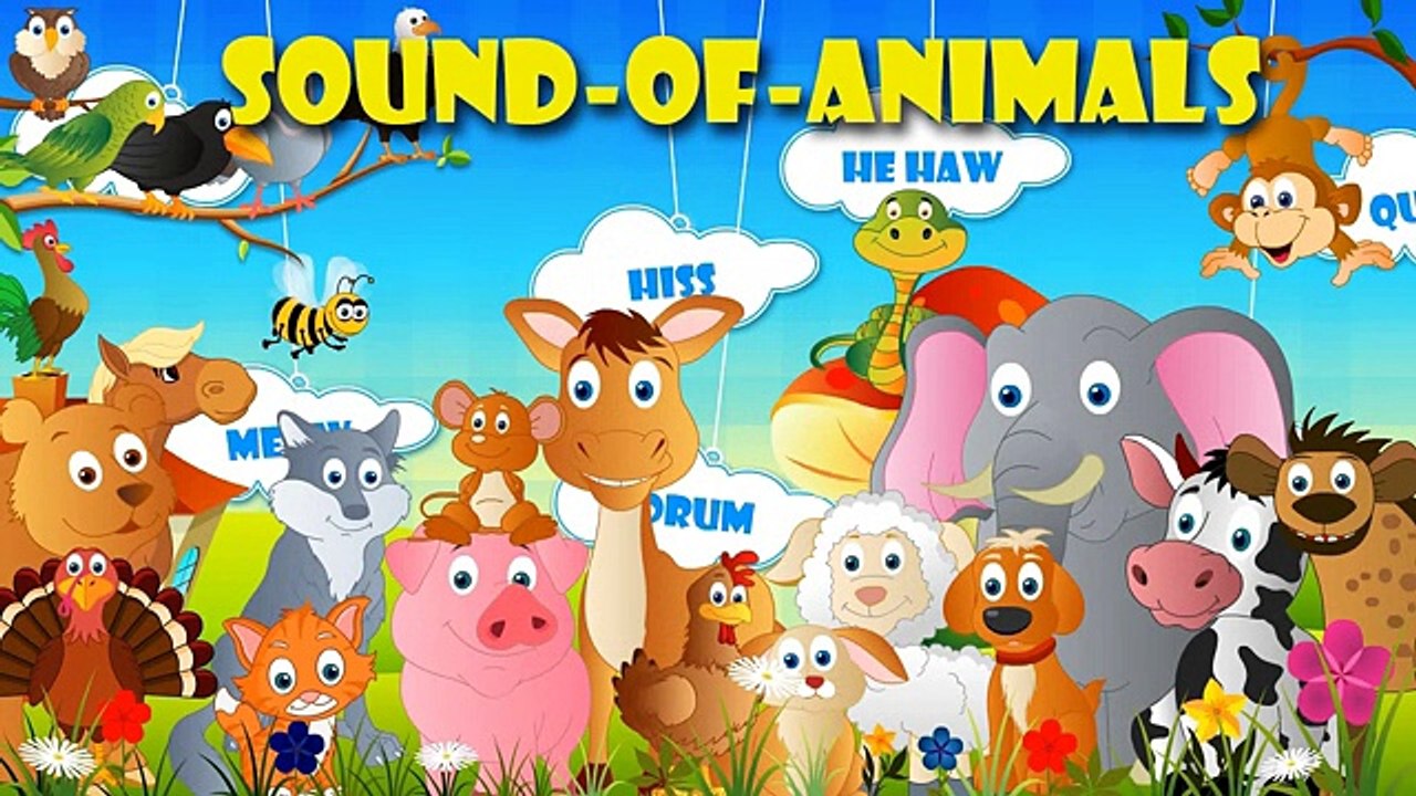 Sounds of Animals Song - Children Nursery Rhymes