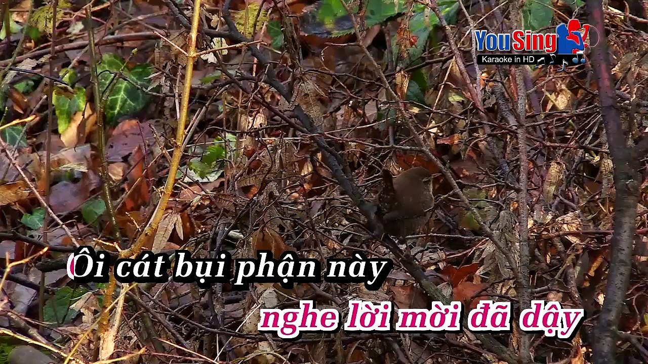 Cát Bụi_Khánh Ly-Karaoke