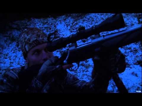 Canada in the Rough - Mountain Mule Deer