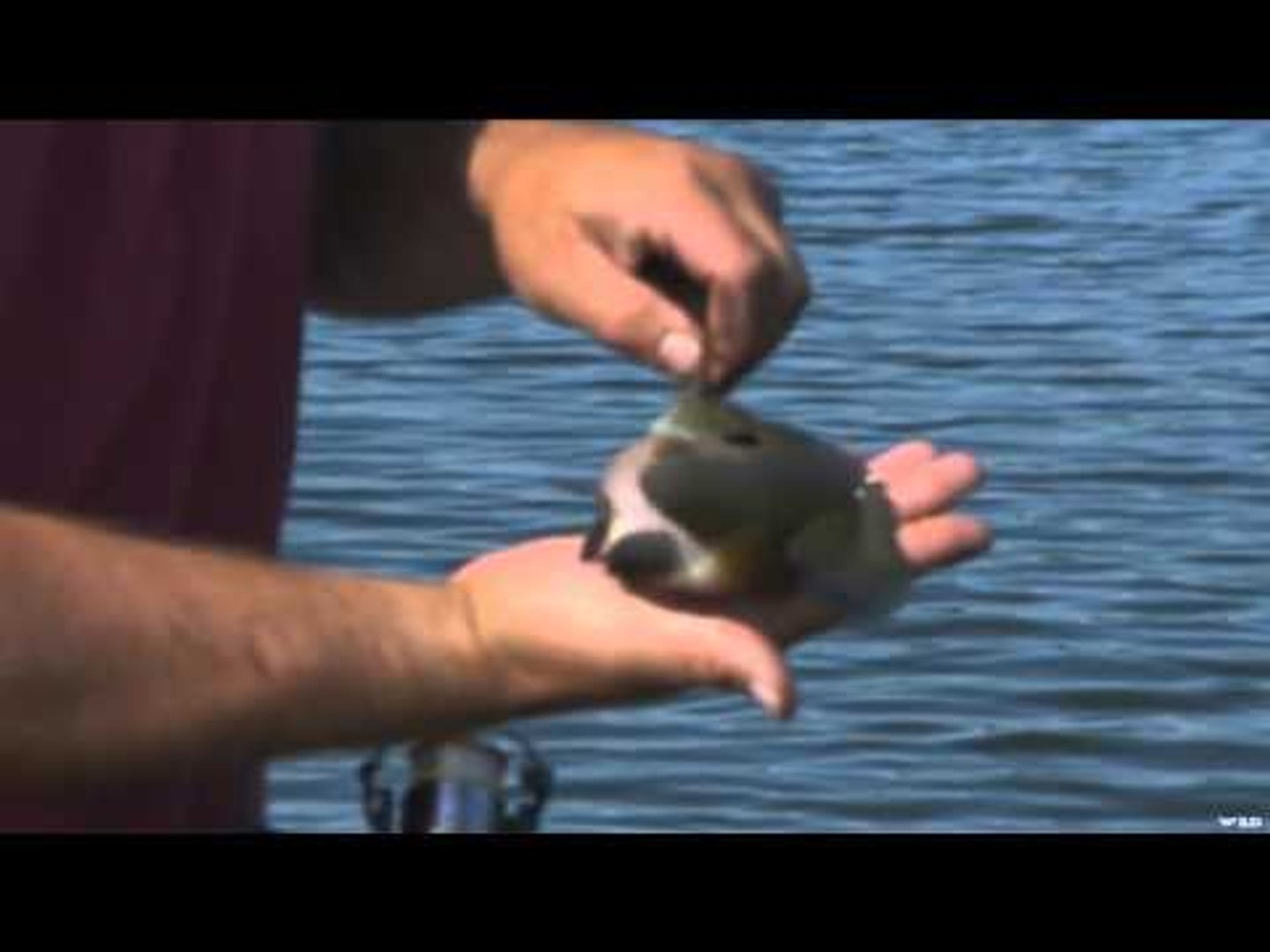 ⁣Babe Winkelman's Good Fishing - Ice Fishing Whitefish