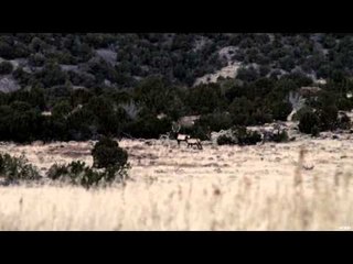 Extreme Outer Limits TV - New Mexico Elk, Part 1