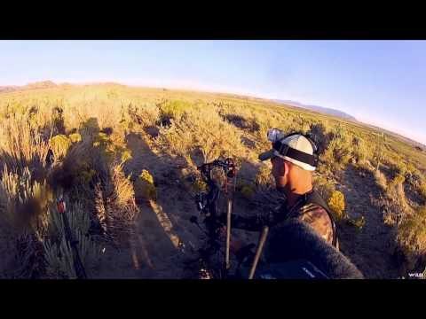Outback Outdoors - Bowhunting Wyoming Mule Deer on the American Serengeti