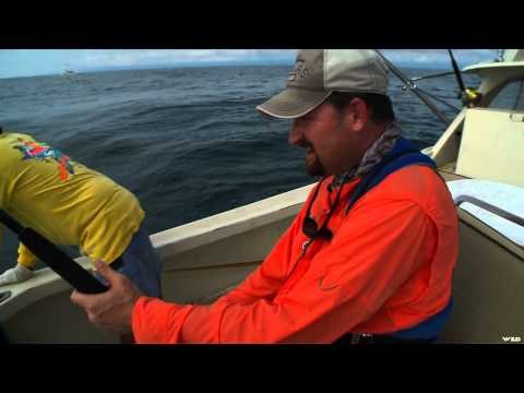 Cabela's Ultimate Adventures - Panama