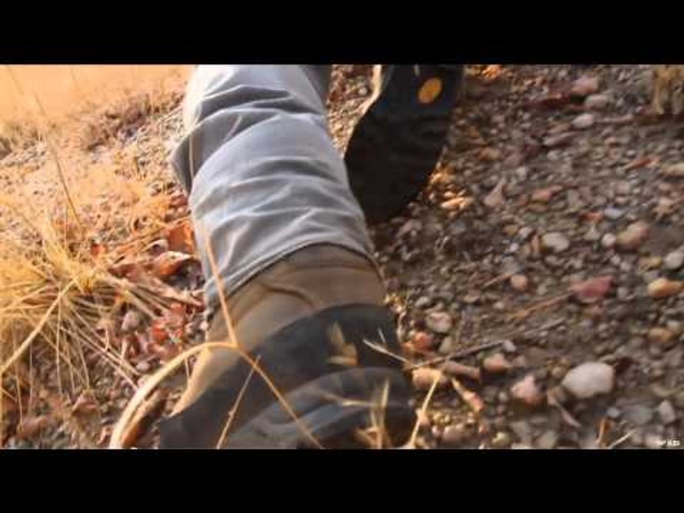 Where in the World is Colorado Buck?  - Zimbabwe Safari with TDK Cape Buffalo