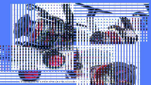 Best buy Shimano Stradic CI4 1000 FA Spinning Reel Frontdrag