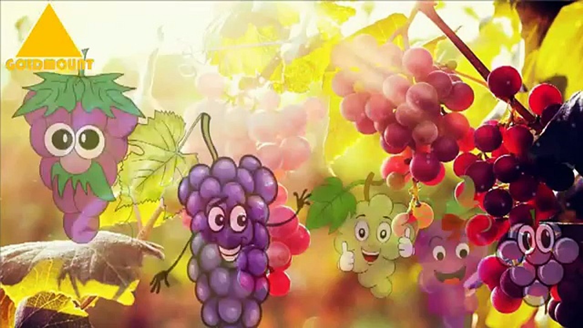 ⁣Preschool Songs | Base Ball-Basket Ball-Grapes-Watermelon Cartoons Finger Family Children Nursery Rh