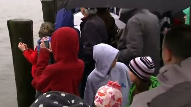 Санта-Клаус и его олени прокатились на водных лыжах (новости) http -9kommentariev.ru-