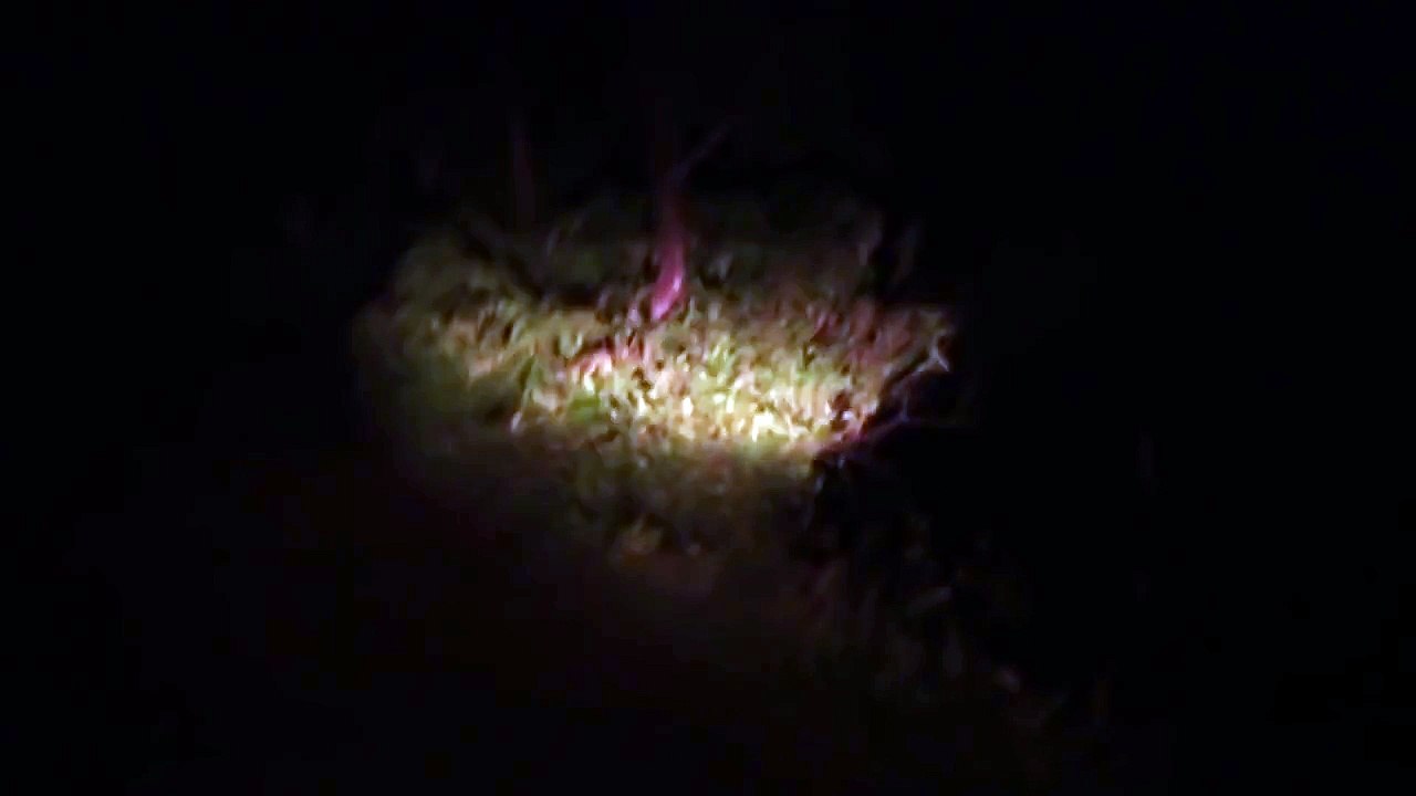 এই প্রথম ক্যামেরায় ধরা পড়লো জল জ্যান্ত ভুত !!