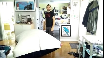 Angry cat isn't impressed by a guy