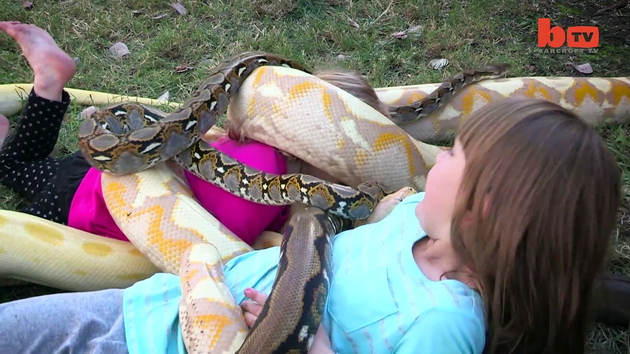 Ce qui se produit quand ce serpent enlace cette fillette donnera des frissons à plusieurs!