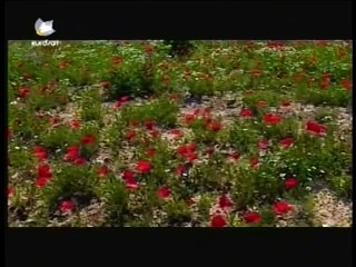 Kurdish Folk Music  Qale Mere