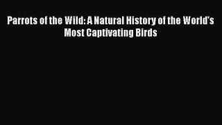 Download Parrots of the Wild: A Natural History of the World's Most Captivating Birds  Read