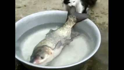 И такое бывает Просто умора