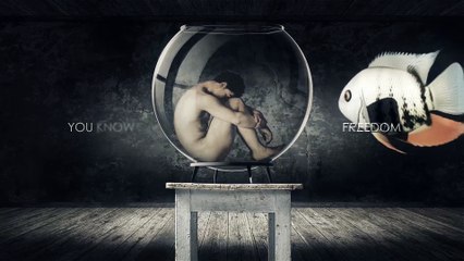 "Be Free"_by Araz A. Tabar