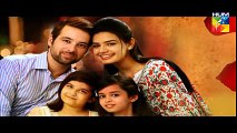 Maan Episode 17 Full HD HUM TV 12 February 2016
