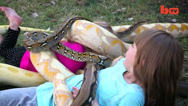 Ce qui se produit quand ce serpent enlace cette fillette donnera des frissons à plusieurs!