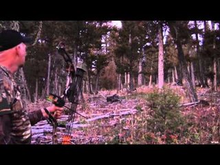 Hunting with HECS - Montana Elk with Rockie Jacobsen