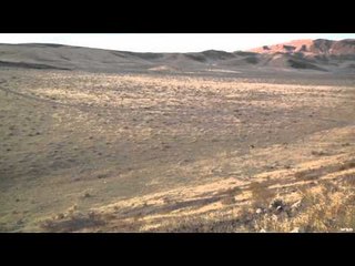 Dead Dog Walkin' - Chance's Revenge!