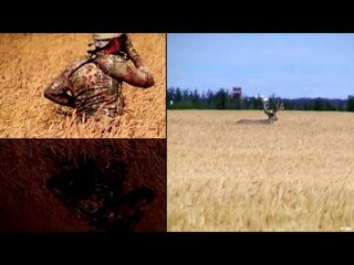 Nock On - Ole Headna