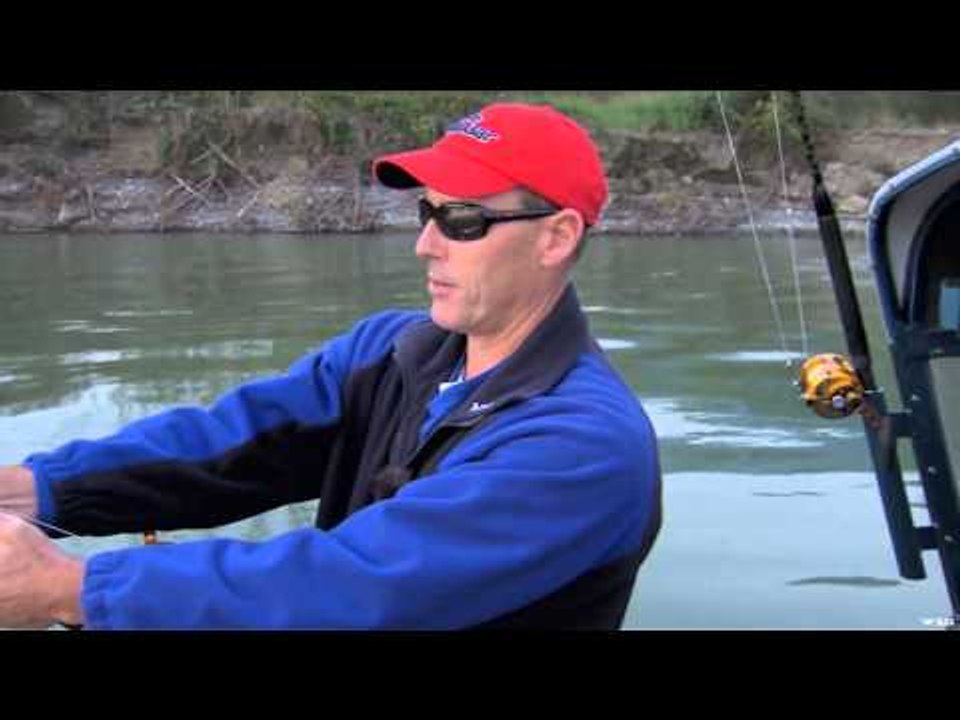 Fishful Thinking - B.C. Sunset Sturgeon