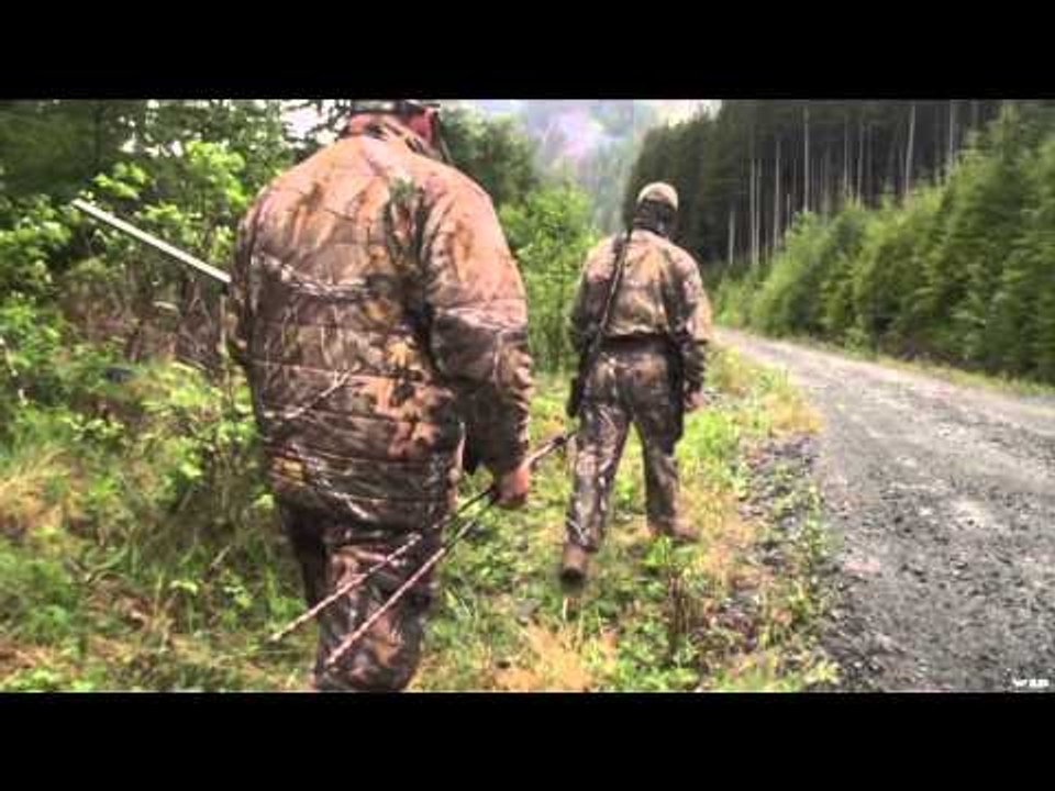 The Choice  - Bear N Down Vancouver Island Style