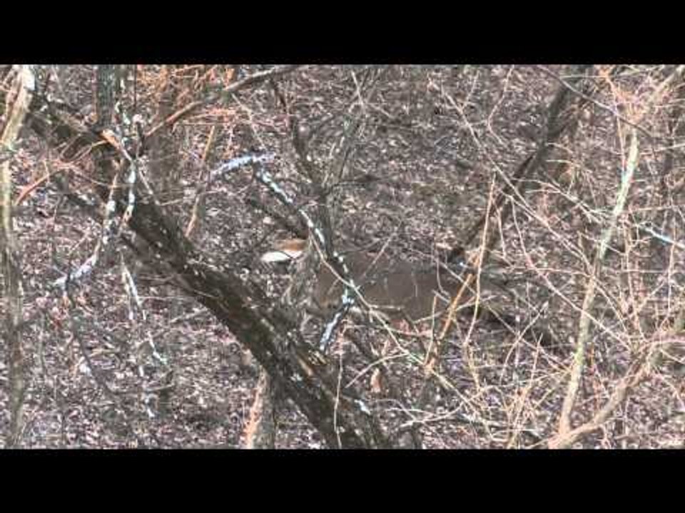 Nosler's Magnum TV  - Nomads of Namib: Hunting the Desert Elephant