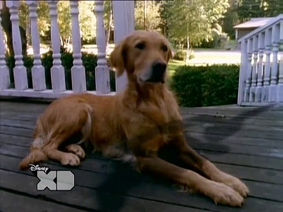 Gänsehaut S02E24 Der Spiegel des Schreckens