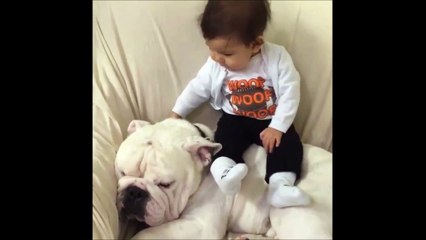 Un bébé passe un bon moment avec son pote le chien