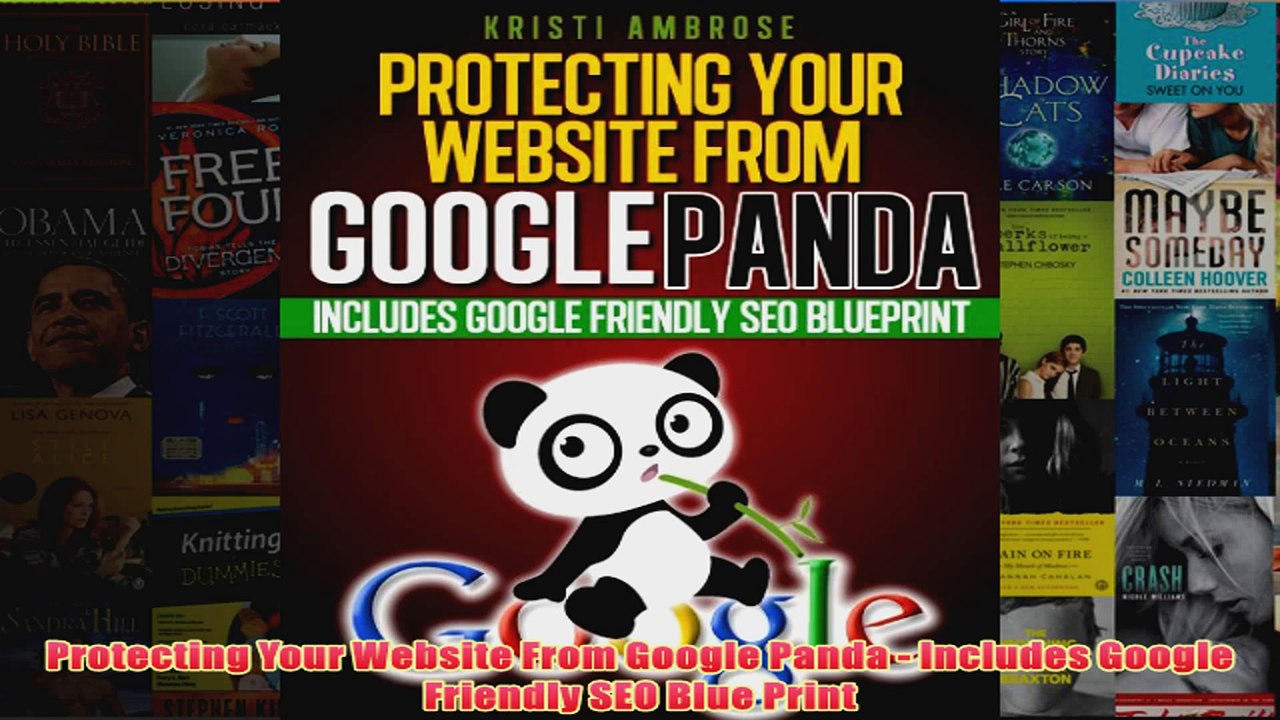 Download PDF  Protecting Your Website From Google Panda  Includes Google Friendly SEO Blue Print FULL FREE