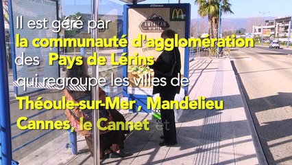 Le BHNS pour résoudre les problèmes de circulation à Cannes
