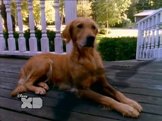 Gänsehaut S02E27 Noch mehr Monsterblut